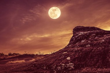 Manzara gökyüzü ve dolunay vahşi alanı ormandaki üzerindeki kaya. 