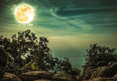 Manzara mavi gökyüzü ve dolunay vahşi alanı ormandaki üzerindeki kayaya. Serenity doğa arka plan.