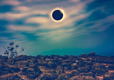 Şaşırtıcı bilimsel doğal olay. Elmas yüzük efektli vahşi orman alanında yukarıda gökyüzü üzerinde parlayan güneş tutulması. 