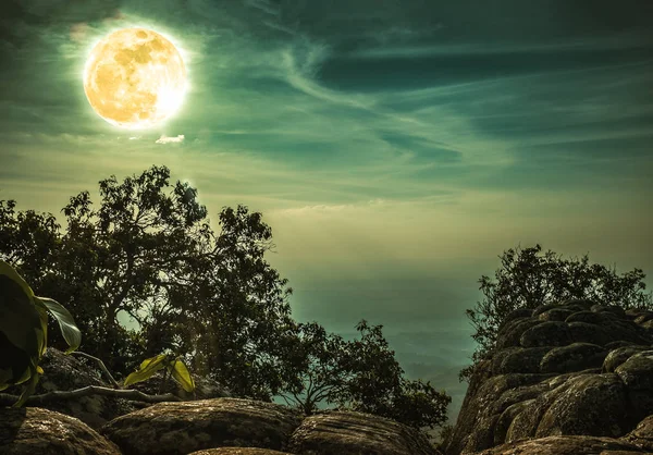 Paisaje de roca contra cielo azul y luna llena sobre área salvaje en bosque. Serenidad naturaleza fondo . — Foto de Stock