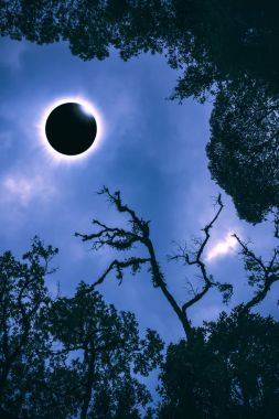 Bilimsel doğal olay. Elmas yüzük ile güneş tutulması.