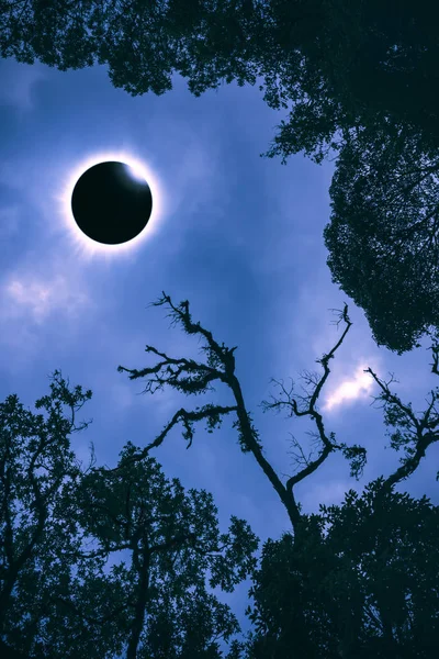 Bilimsel doğal olay. Elmas yüzük ile güneş tutulması.