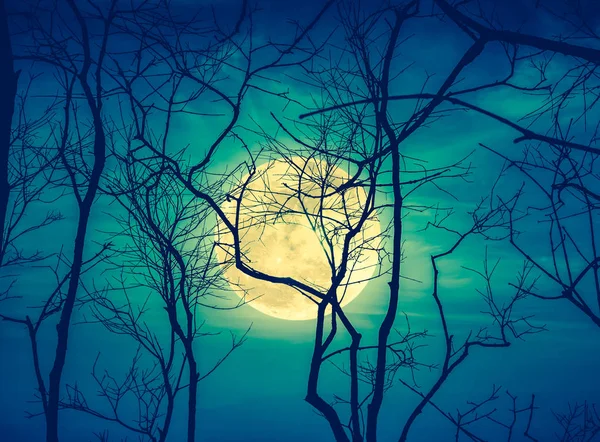 Paisaje nocturno del cielo con super luna detrás de silueta de muertos — Foto de Stock