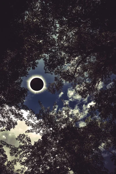 Fenómeno científico natural. Eclipse solar total brilhando no céu azul acima da silhueta da árvore — Fotografia de Stock