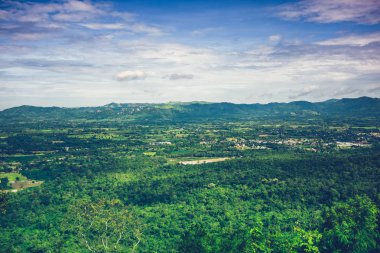 Renkli taze yaprak dökmeyen orman güzel doğaya mavi gökyüzü ile ve bulutlu sakin doğaya karşı.