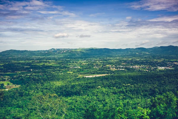 Renkli taze yaprak dökmeyen orman güzel doğaya mavi gökyüzü ile ve bulutlu sakin doğaya karşı.