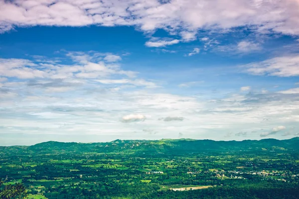 Renkli taze yaprak dökmeyen orman güzel doğaya mavi gökyüzü ile ve bulutlu sakin doğaya karşı. 