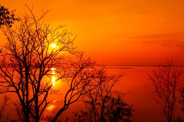 Пейзаж помаранчевого неба з сонячними променями і силуетом дерев на барвистому заході сонця . — стокове фото