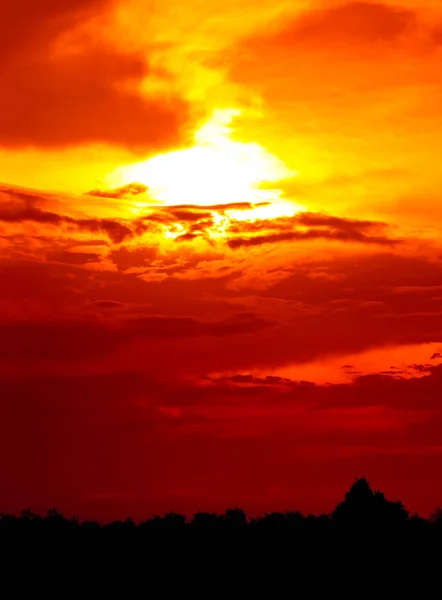 Κόκκινος ουρανός και ηλιαχτίδα μέσω cloud παραπάνω σιλουέτα των δέντρων, ηρεμία φύση φόντο. — Φωτογραφία Αρχείου