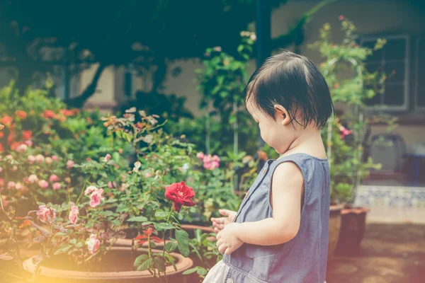 Niño asiático admirando flores de rosas y la naturaleza alrededor en el patio trasero . —  Fotos de Stock