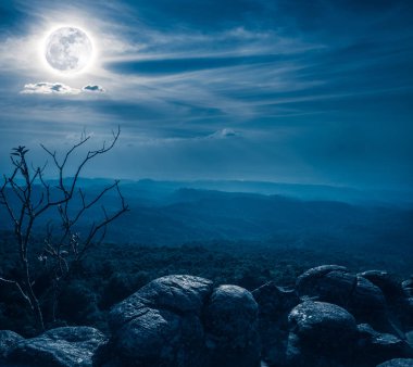 Landscape of rock against blue sky and full moon above wilderness area in forest. Serenity nature background. clipart