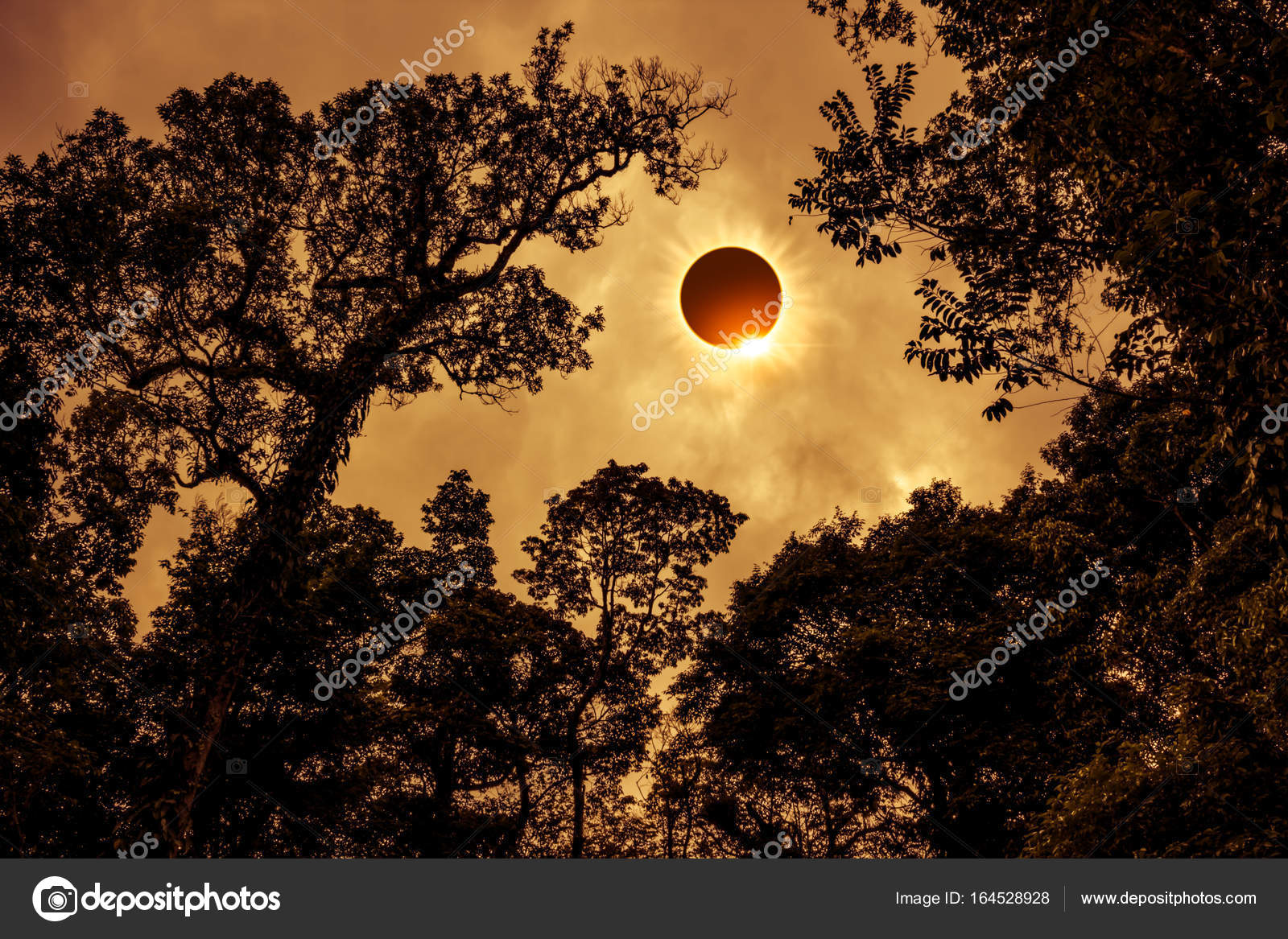 Темное солнце. Майкл блэк. Свет в глазах. Берсерк гриффит затмение. Солнце затмение дарк соулс.