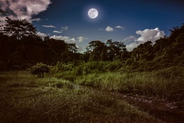Bright full moon above wilderness area in forest, serenity nature background. clipart