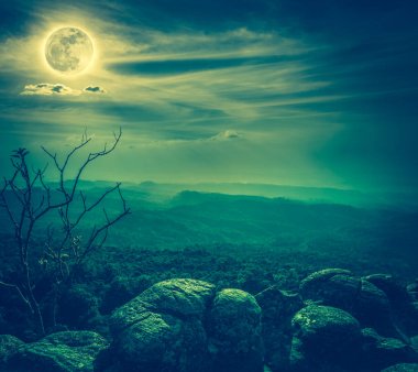 Manzara mavi gökyüzü ve dolunay yukarıda wilderness alanı ormandaki karşı Rock.