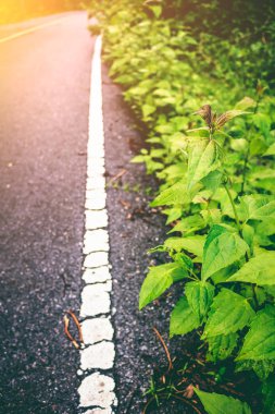 Eski işaretleme hattı ile doku yol asfalt. Açık.