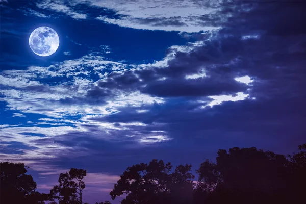 Ciel avec nuages et lune au-dessus des silhouettes des arbres. Sérénité nature arrière-plan . — Photo