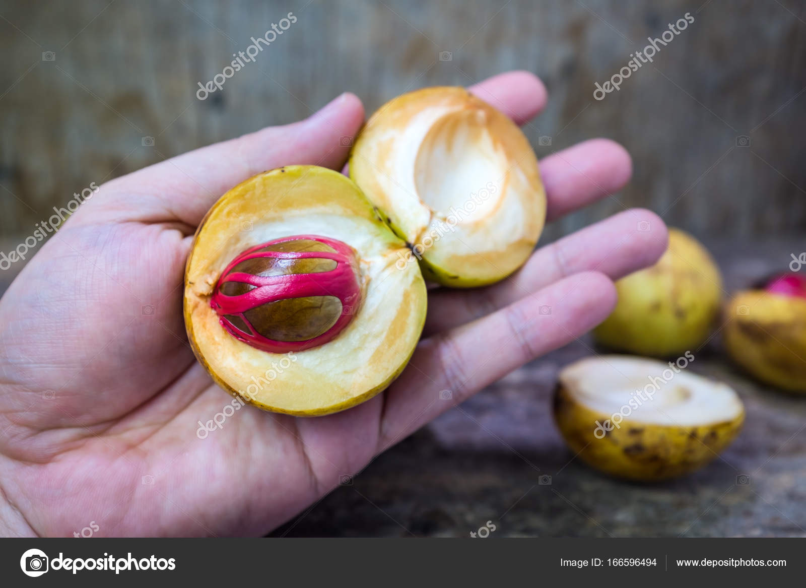 Nutmeg Fruit