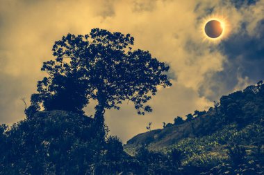 Bilimsel doğal olay. Gökyüzünde parlayan güneş tutulması