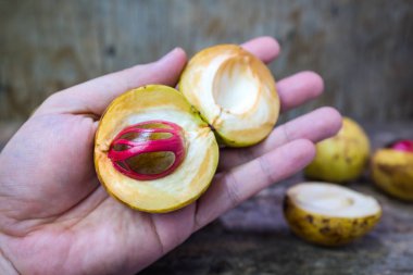 Tohum myristica insan eli kokulu kırmızı plasenta gibi kapaklı küçük hindistan cevizi meyve.