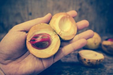 Küçük Hindistan cevizi myristica insan eli kokulu tohum plasenta gibi kapaklı.