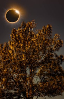 Bilimsel doğal olay. Gökyüzünde parlayan güneş tutulması.
