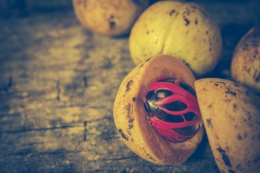 Küçük Hindistan cevizi myristica Tarih kokulu tohum plasenta gibi kapaklı