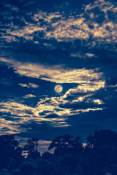 Ουρανός με τα σύννεφα και Σελήνη πάνω από σιλουέτες των δέντρων. Ηρεμία φύση φόντο. — Φωτογραφία Αρχείου