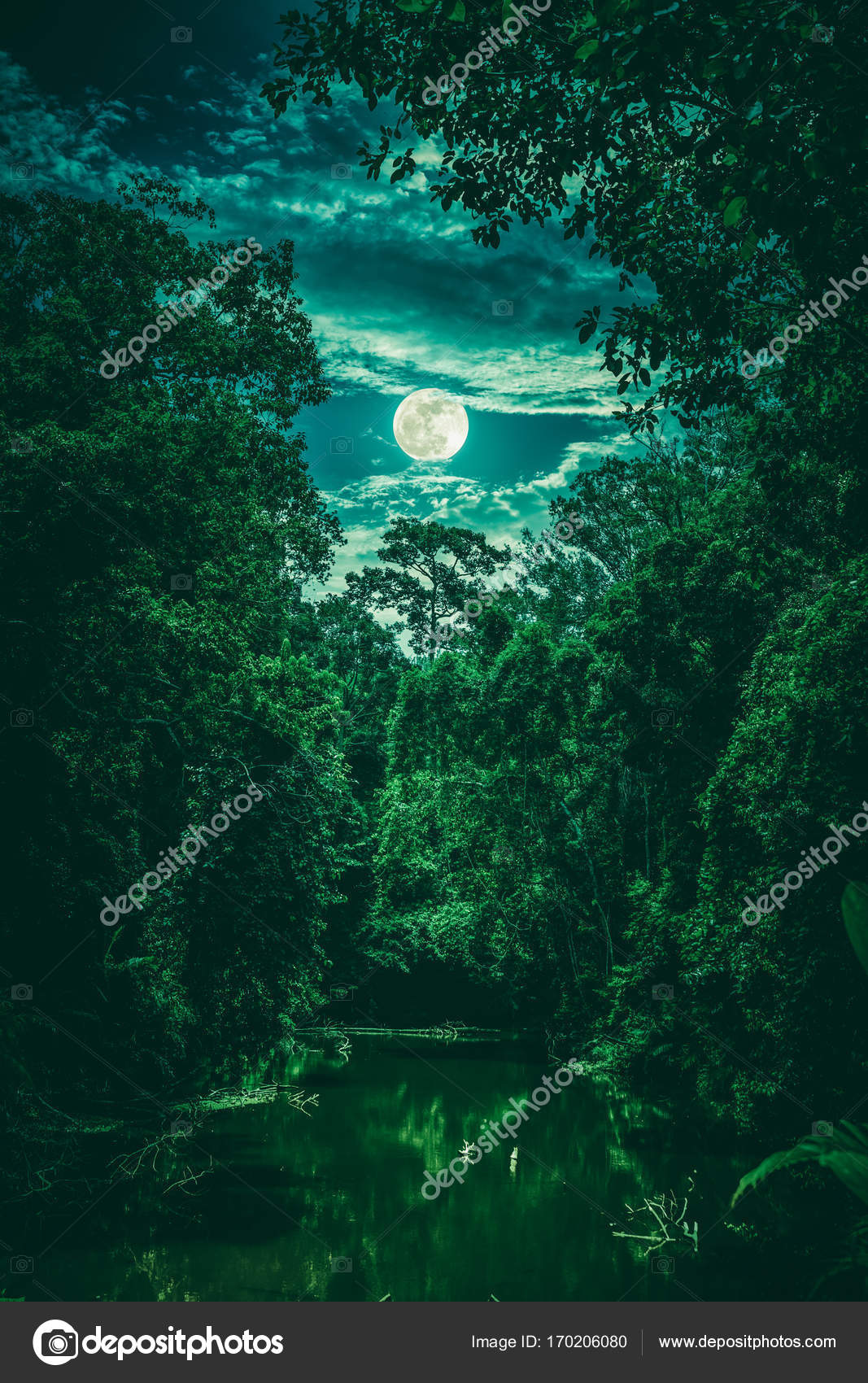 Landscape Of Sky With Clouds And Moon Over Serenity Nature In Forest Stock Photo Image By C Kdshutterman 170206080
