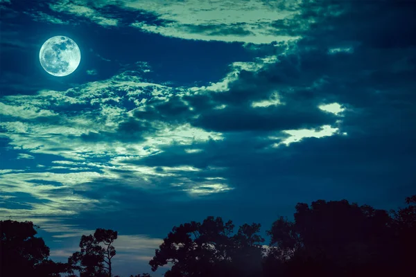 Cielo con nubes y luna sobre siluetas de árboles. Serenidad na — Foto de Stock