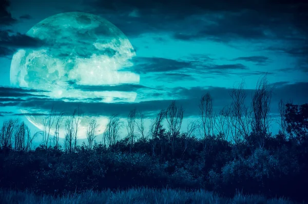 Céu colorido com lua escura nublada e grande sobre silhueta de árvores . — Fotografia de Stock