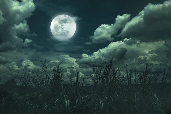 Luna llena brillante sobre el área salvaje, serenidad fondo de la naturaleza . —  Fotos de Stock