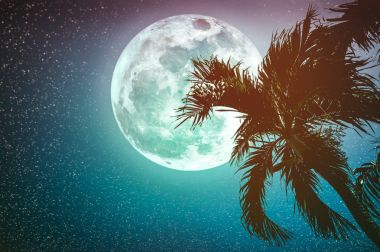 Supermoon arkasında tembul palmiye ağacı ile gökyüzünün güzel gece manzarası.