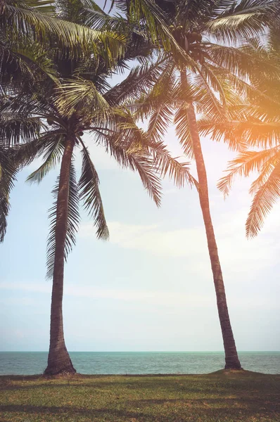 Paesaggio di palme da cocco sulla spiaggia tropicale. effetto filtro pellicola Vintage . — Foto Stock