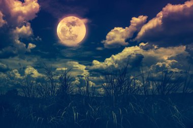 Bright full moon above wilderness area, serenity nature background clipart