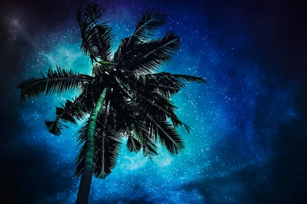 Natural glowing of the milky way and the starry with coconut plam — Stock Photo, Image