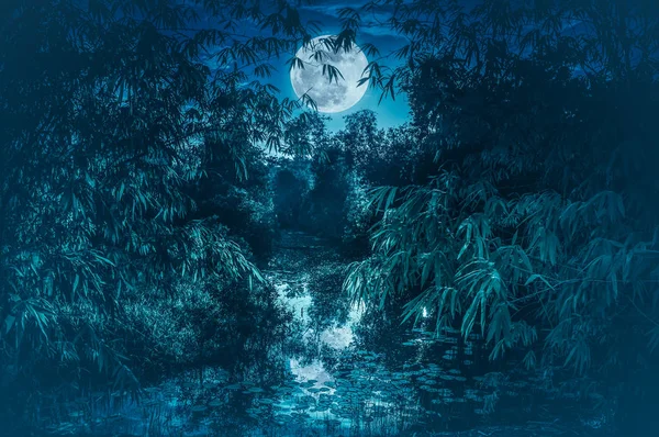 Río tranquilo con luna llena y árboles de bambú. Serenidad naturaleza fondo . — Foto de Stock
