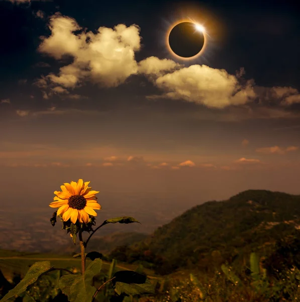 科学的自然现象 月亮遮住了太阳 总日食与金刚石圆环作用在山范围和向日葵之上 美丽的自然和宁静的风景 — 图库照片