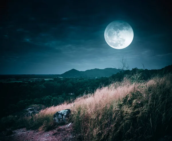 Bella luna piena luminosa sopra la zona selvaggia nella foresta . — Foto Stock