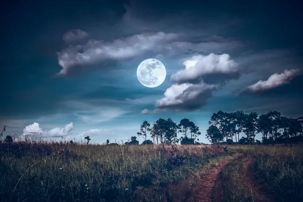 Bella luna piena luminosa sopra la zona selvaggia nella foresta, strada di campagna attraverso i campi della campagna durante la notte . — Foto Stock