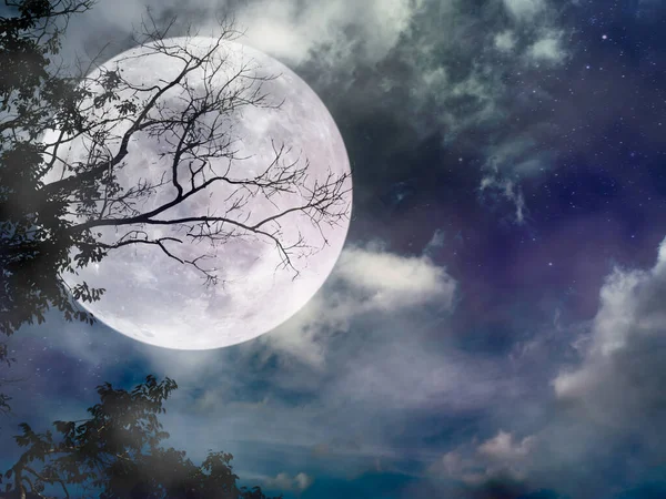 Paisagem Céu Noturno Escuro Com Muitas Estrelas Bela Super Lua — Fotografia de Stock
