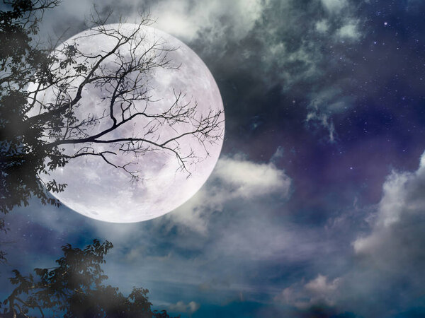 Landscape of dark night sky with many stars. Beautiful super moon with bright moonlight behind silhouette of dead tree in forest. Serenity nature background.