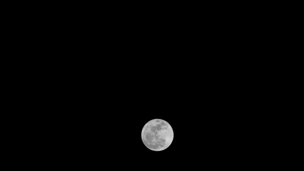 Hermosa Luna Llena Brillante Cielo Oscuro Aire Libre Por Noche — Vídeo de stock