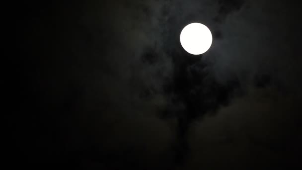 Hermosa Luna Llena Brillando Brillante Cielo Oscuro Nubes Negras Que — Vídeos de Stock