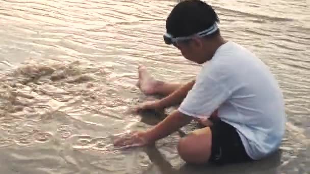 アジアの子供は砂で遊ぶ ビーチで海の動物を楽しみ 探している若い男の子 夏の日に明るい日差しと昼間の屋外 自然と子どもたちをつなぐ若いコンセプト — ストック動画