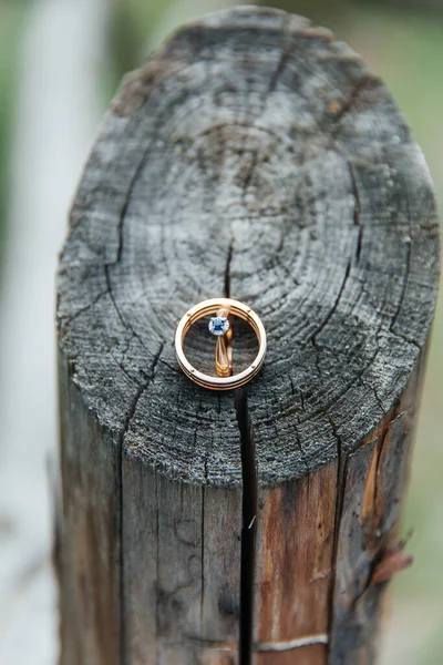 Wedding Rings Wooden Stump — Stock Photo, Image