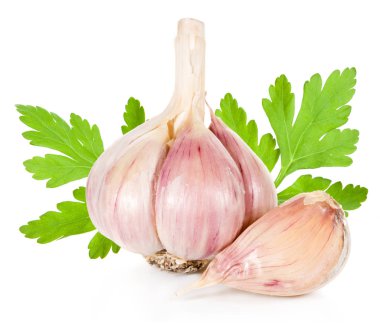 Sarımsak beyaza izole edilmiş