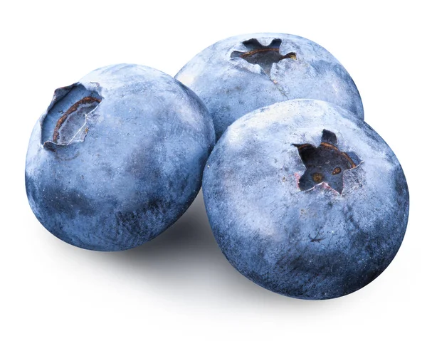 蓝莓隔离在白色 — 图库照片