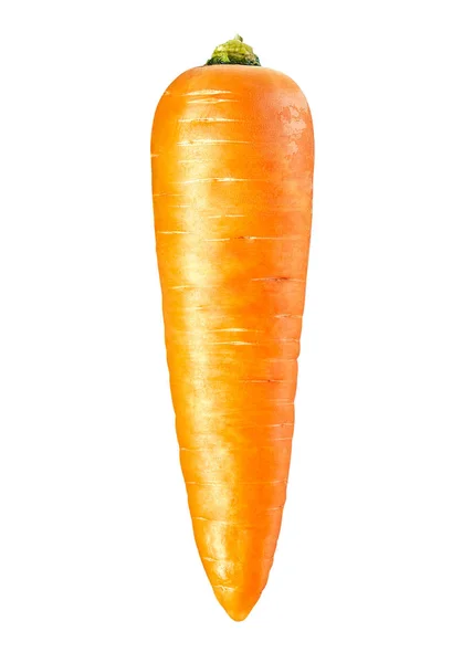 Carrot isolated on white background — Stock Photo, Image