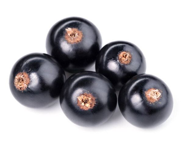 currants isolated on white