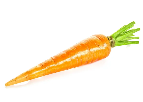 Морковные овощи изолированы — стоковое фото